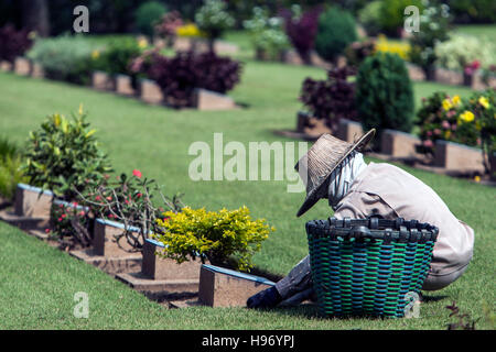 Cimitero di Guerra di Kanchanaburi Thailandia Foto Stock