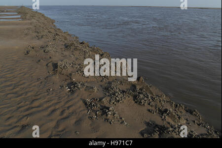 Blue sky sabbia spiaggia vista, guardando a monte, wild cozze macerie Nord parete di formazione, bassa del canale dell'acqua di fiume Ribble, Fairhaven Foto Stock