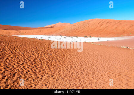 Vista di Deadvlei in mattina presto. Deadvlei è un argilla bianca pan si trova vicino alla più famosa salina di Sossusvlei in Namibia Foto Stock