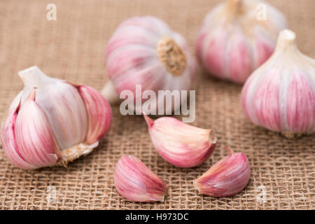 Tutto fresco e aperto bulbi di aglio Foto Stock