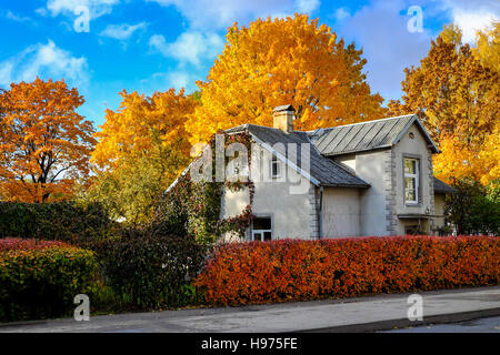 Piccola casa circondata da alberi colorati su una soleggiata giornata autunnale Foto Stock