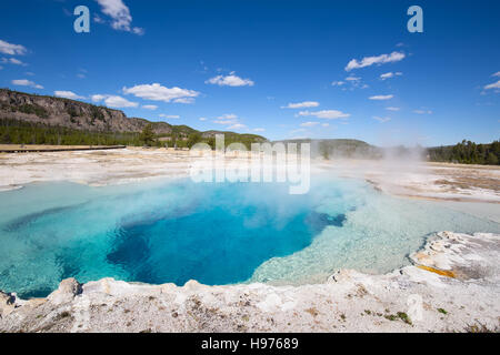 Colorate acqua calda piscina nel parco nazionale di Yellowstone, STATI UNITI D'AMERICA Foto Stock