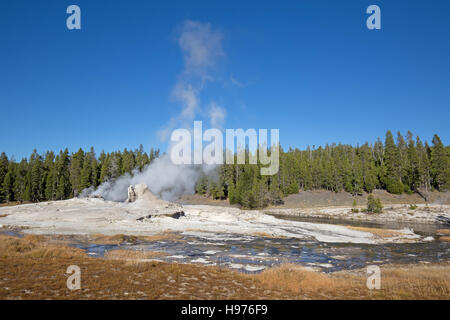 Geyser gigante nel parco nazionale di Yellowstone, STATI UNITI D'AMERICA Foto Stock