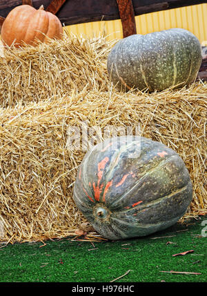 Display del ringraziamento di zucche e pile di fieno. Foto Stock