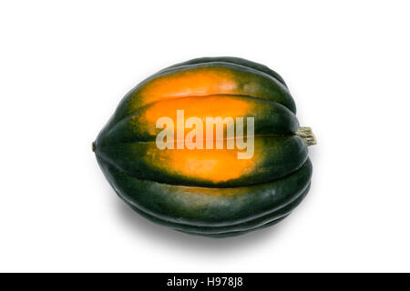 Close up vista laterale ancora in vita del tutto unico Acorn Squash con il verde e l'arancione pelle in Silhouette bianca su sfondo per studio con spazio di copia Foto Stock