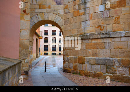 San Pedro Ildefonso chiesa in Zamora di Spagna Foto Stock