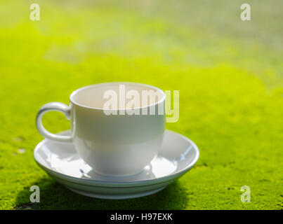 Tazza di caffè sulla superficie di muschio Foto Stock