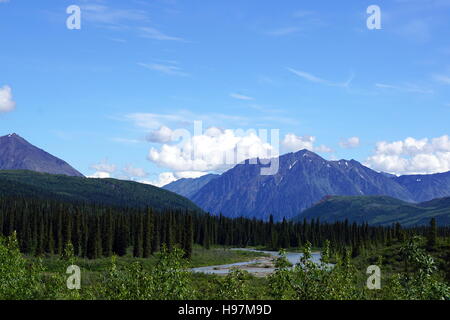 Parco nazionale e Riserva di Denali (monte mckinley), Alaska Foto Stock