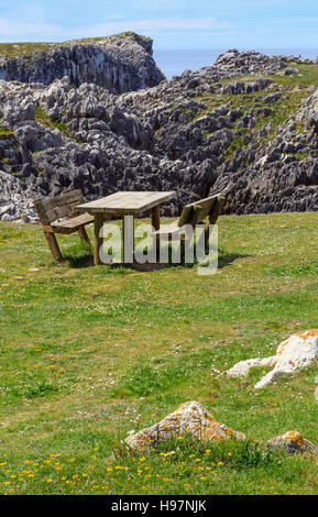 Luogo di riposo (tavola con panche) sulla fioritura estiva costa vicino Camango, nelle Asturie (Spagna). Foto Stock