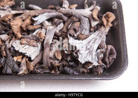 Polietilene nero vassoio pieno di corno dell'abbondanza di funghi. Isolato Foto Stock