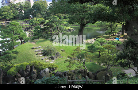 Giappone Tokyo Kyu Shiba Rikyu Garden pino giapponese Foto Stock