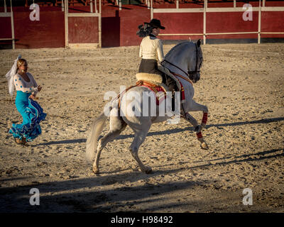 A Alhama de Granada, Spagna - 9 Settembre 2016: Tradizionale spagnolo a cavallo durante una fiesta Foto Stock