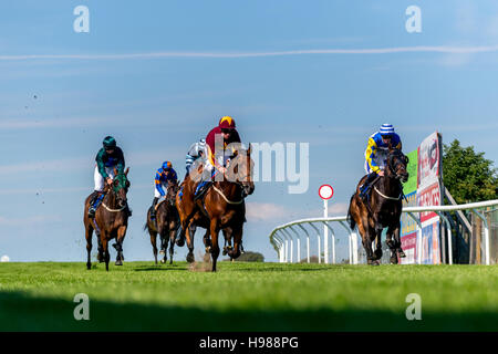 Star bene, cavalcato da Jim Crowley, vincendo il 4.20 a Brighton questo pomeriggio. Foto Stock