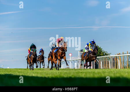 Star bene, cavalcato da Jim Crowley, vincendo il 4.20 a Brighton questo pomeriggio. Foto Stock