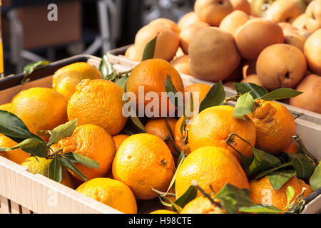 Satsuma mandarini arance cresciuto su una fattoria e visualizzate in un mercato degli agricoltori Foto Stock