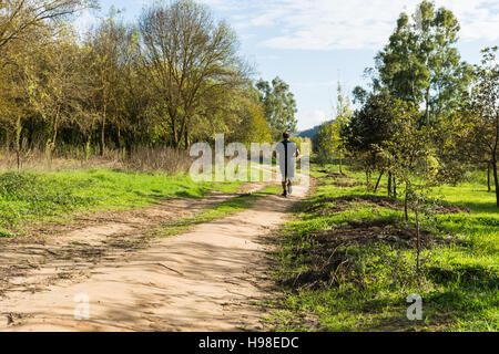 Grande pancia uomo jogging , esercitare, facendo cardio nel parco , leggermente sovrappeso, perdere peso. In un prato di erba verde tra alberi senza lea Foto Stock