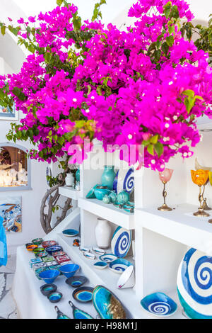 Negozio di souvenir di Santorini Oia Grecia Isole Cicladi d'arte, Grecia Bougainvillea Europa tradizionali ceramiche locali in blu e bianco Foto Stock