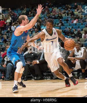 Reno, Nevada, Stati Uniti d'America. Xix Nov, 2016. Reno Bighorn Guard RENALDO principali (7) trascina contro Oklahoma City guardia blu ALEX CARUSO (21) durante l'NBA D-League gioco di basket tra il Reno Bighorns e Oklahoma City blu al Reno eventi centro a Reno in Nevada. Credito: Jeff Mulvihill/ZUMA filo/Alamy Live News Foto Stock