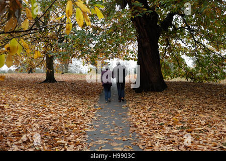 Londra, Regno Unito. Xx Novembre 2016. Il parco di Greenwich visiters della su un panno ventoso pomeriggio dopo la tempesta Angus ha flagellato la costa sud dell'Inghilterra con venti di 84km/h . Credito: claire doherty/Alamy Live News Foto Stock
