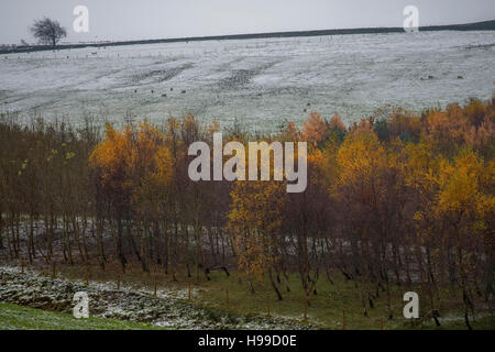 La neve copre le colline come i colori autunnali sono visto sugli alberi vicino a Meltham nel Parco Nazionale di Peak District, West Yorkshire Foto Stock