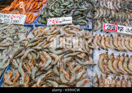 Noryangjin Pesca Mercato all'ingrosso della 24 Ore di mercato ha oltre 700 bancarelle che vendono fresco e frutti di mare essiccati. Foto Stock