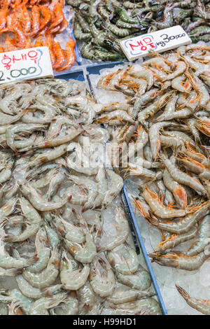 Noryangjin Pesca Mercato all'ingrosso della 24 Ore di mercato ha oltre 700 bancarelle che vendono fresco e frutti di mare essiccati. Foto Stock
