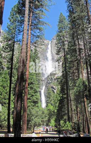 Il parco nazionale di Yosemite Falls, del Parco Nazionale Yosemite in California nel maggio 2016. Foto Stock