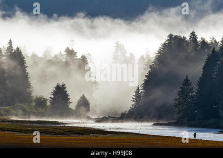 Uomo di pesca del salmone come early morning mist sorge sul fiume e la foresta pluviale costiera dell'Tongass National Forest nel sud-est dell Alaska Foto Stock