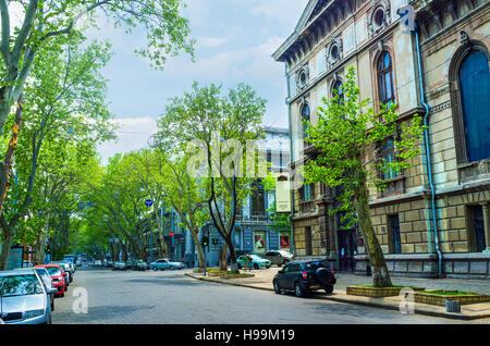 Tutte le strade nella parte vecchia di Odessa sono piantate con alberi, a causa del caldo estivo soleggiato Foto Stock