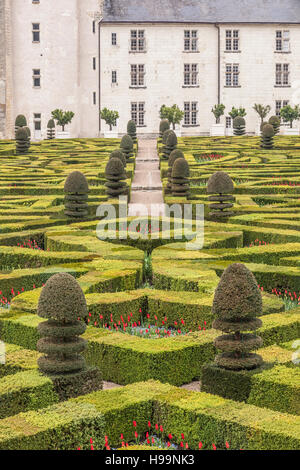 Simmetricamente bellissimi giardini presso il castello di Villandry in Francia. Il castello si trova nel centro storico della Valle della Loira. Foto Stock