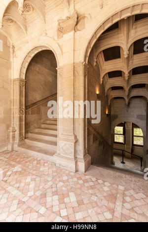 Un particolare colpo di magnifico scalone presso il castello di Azay-le-Rideau. Si tratta di uno dei primi castelli rinascimentali oggi permanente. Il castello Foto Stock