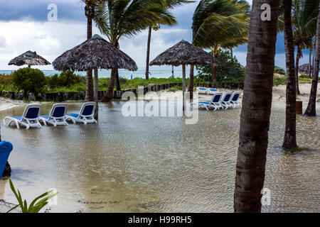 Danni da tempesta tropicale Foto Stock