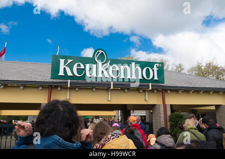 LISSE, Paesi Bassi - 17 Aprile 2016: sconosciuto ai turisti in attesa di ottenere all'interno del famoso Keukenhof tulip garden nei Paesi Bassi Foto Stock