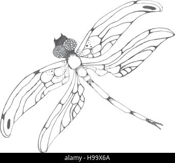 Dragonflie. Disegnata a mano illustrazione grafica in bianco e nero Illustrazione Vettoriale