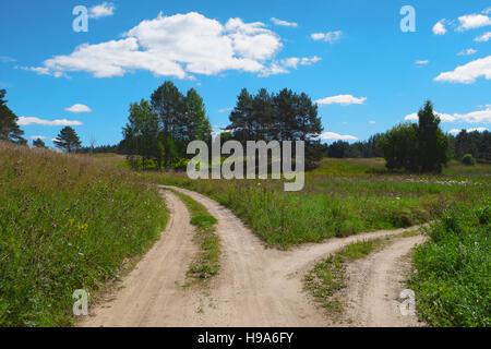 Zone rurali paesaggio panoramico con il bivio sulla collina nella foresta. Due diverse direzioni. Concetto di scegliere il modo più corretto Foto Stock