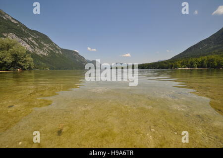 Le acque poco profonde del lago di Bohinj, Slovenia Foto Stock