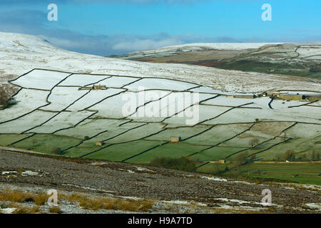 Swaledale nei pressi di Reeth sotto luce neve Yorkshire in autunno Foto Stock