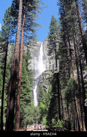 Il parco nazionale di Yosemite Falls, del Parco Nazionale Yosemite in California nel maggio 2016. Foto Stock