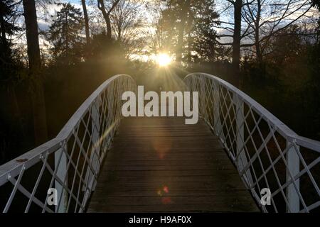 Le curve del ponte di legno con metallo bianco area e alberi autunnali in background con tramonto Foto Stock