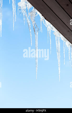 Ghiaccioli scintillante bianco ghiaccio sospeso verso il basso Foto Stock