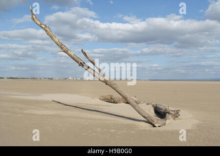 Blue sky nuvole bianche visualizza tronco di albero con alte ramo inclinato che giace a secco di sabbia sulla spiaggia verso la costa al Fairhaven, Mirfield, Regno Unito Foto Stock