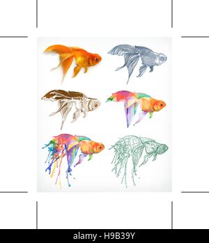 Goldfish, diversi stili, disegno vettoriale, icona impostare Illustrazione Vettoriale