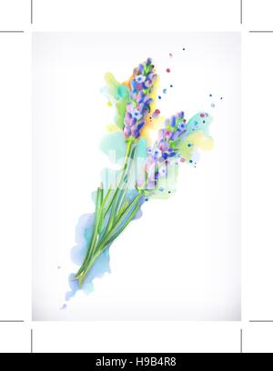 Fiori di lavanda, pittura ad acquarello, vettore di maglia Illustrazione Vettoriale