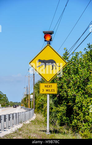RADS wildlife zona di incrocio per Florida Panthers SU DI NOI 41 a Big Cypress National Preserve dove molti pantere sono colpiti da auto Foto Stock