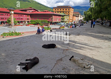 Clocktower Square a Thimphu sulla via principale Foto Stock