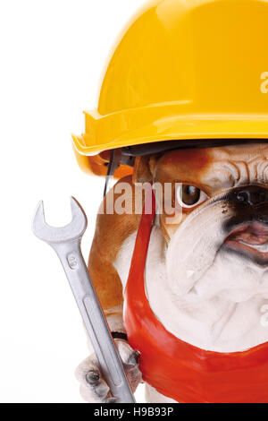 Bulldog figurina indossando una costruzione giallo casco e tenendo una chiave Foto Stock