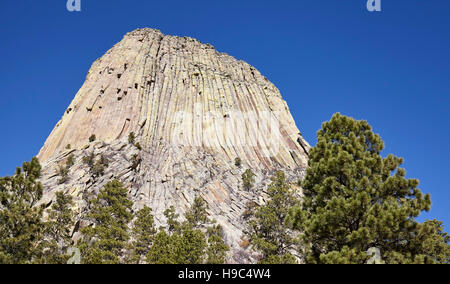 Devils Tower, un laccolith butte composto di roccia ignea al Bear Lodge montagne, top attrazione per lo stato del Wyoming, STATI UNITI D'AMERICA. Foto Stock