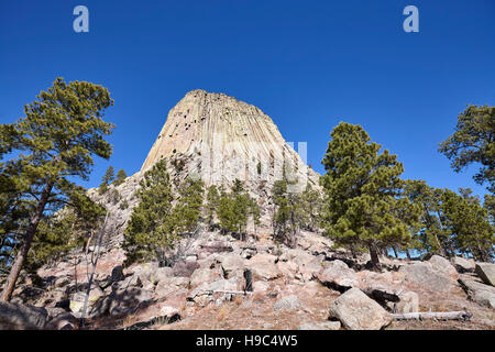 Devils Tower, un laccolith butte composto di roccia ignea al Bear Lodge montagne, top attrazione per lo stato del Wyoming, STATI UNITI D'AMERICA. Foto Stock