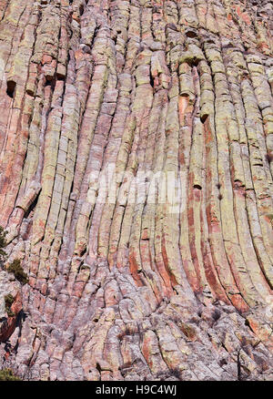 Devils Tower formazioni rocciose sfondo naturale, un laccolith butte composto di roccia ignea al Bear Lodge montagne, STATI UNITI D'AMERICA. Foto Stock