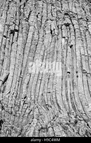 Bianco e nero Devils Tower formazioni rocciose sfondo naturale, un laccolith butte composto di roccia ignea al Bear Lodge montagne, STATI UNITI D'AMERICA. Foto Stock